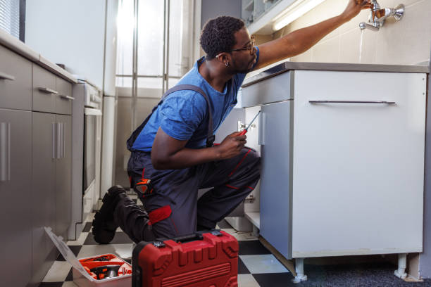 Best Plumbing Inspection Services  in St Charles, IL